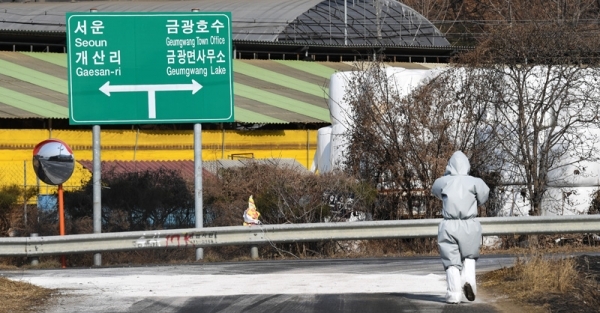 구제역 위기경보가 '주의'단계 '경계'단계로 격상된 30일. 안성 금광면의 젖소 농장 근처에서 방역 관계자가 길에 뿌려진 석회가루를 확인하고 있다. 윤원규 수습기자