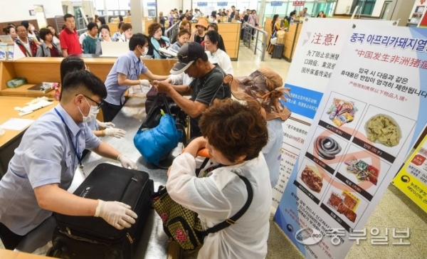 3일 오전 평택항 국제여객터미널 입국장에서 농림축산검역본부 관계자들이 아프리카돼지열병(ASF)의 국내 유입을 막기 위해 중국에서 입국하는 탑승객들의 수하물을 검사하고 있다. 김영운기자