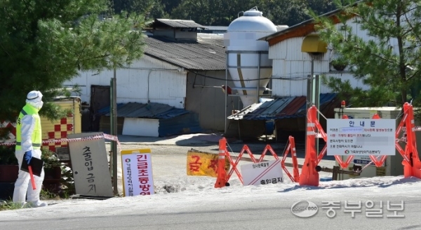 김포에서 아프리카돼지열병(ASF) 확정 판정이 내려진 23일 김포시 통진읍 한 양돈농가에서 방역당국 관계자들이 출입을 통제하고 있다. 윤상순기자