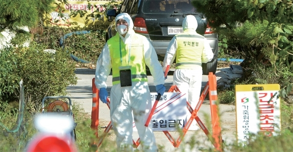 24일 오후 아프리카돼지열병(ASF)이 확진된 인천시 강화군 한 양돈농장에서 방역 관계자가 출입을 통제하고 있다. 정부는 이날 ASF 중점관리지역을 인천시ㆍ경기도ㆍ강원도 전체로 확대하고, 48시간 동안 전국에 가축 일시이동중지명령을 발령했다. 조주현기자