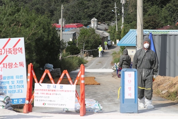 26일 연천군 한탄강 인근 양돈농가에서 아프리카돼지열병(ASF) 의심 사례가 발생해 방역당국이 출입을 통제하고 있다. /연합뉴스