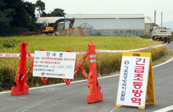 인천 강화지역에 아프리카돼지열병(ASF)이 확산해 방역당국에 비상이 걸린 27일 오후 국내 8번째로 ASF가 확진된 인천시 강화군 강화읍 한 양돈농장에서 포클레인이 살처분 작업을 위해 땅을 파고 있다. 연합