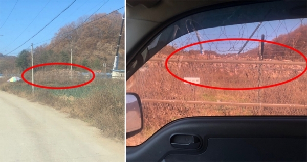 지난 9일께 연천군 중면 마거리 일대에 살처분된 돼지 수만 마리가 산처럼 쌓여 있는 모습. 독자제공