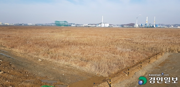 화성국제테마파크 예정 부지인 송산그린시티 동측지구 인근 간척지.