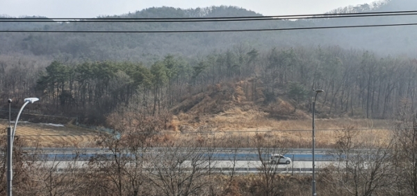 ▲ 여주 반려동물 테마파크 조성 부지 일대 모습