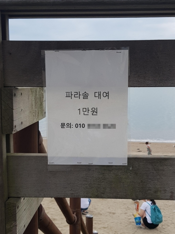 ▲ 이른바 '배달영업' , 불법 파라솔 대여 전단지.