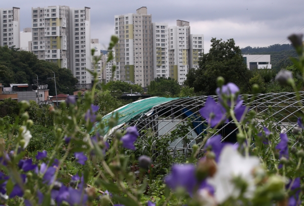 20일 서울 서초구 내곡동 일대 그린벨트(개발제한구역) 너머로 아파트 단지가 보이고 있다. 이날 문재인 대통령은 청와대에서 가진 정세균 국무총리와의 주례회동에서 주택공급 물량 확대 방안에 대해 협의한 결과 해제 여부를 놓고 논란이 이어지고 있는 그린벨트(개발제한구역)와 관련해 미래세대를 위해 해제하지 않고 계속 보존해 나가기로 결정했다. /연합뉴스