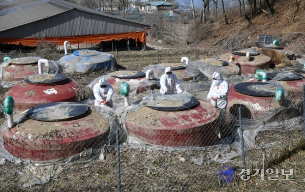 17일 오후 파주시 문산읍 한 아프리카돼지열병 가축 매몰지에서 파주농업기술센터 직원들이 해빙기 안전점검을 하고 있다. 이날 경기도는 전국 최초로 '가축살처분 및 매몰지 복원 용역 개선방안'을 발표했다./김시범 기자