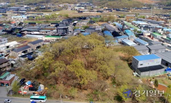 3기 신도시에 포함된 시흥시 과림동ㆍ무지내동 17개 공원부지 3만3천여㎡에 대한 실효 고시가 이뤄지지 않아 5~7년이 넘도록 공원부지로 남아있자, 토지주들이 ‘잘못된 행정’으로 공원 실효 사실을 몰랐다며 재산권 피해를 호소하고 있다. 김시범기자