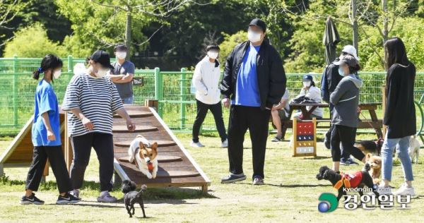 반려동물 놀이시설 설치와 관리를 세금으로 운영하는 지자체에 늘어난 반려 가구로 인해 사회적 비용이 추가된 만큼 수혜를 본 반려 가구도 일정 부분 부담하는 '반려 동물세'를 도입해야 한다는 목소리도 나오고 있다. 9일 오전 시민들이 반려동물과 함께 화성시 동탄 여울공원 반려견 놀이터를 찾아 시설을 이용하고 있다. 2021.5.9 /김도우기자