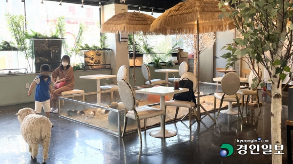 지난 10일 시흥의 한 야생동물카페가 취식 공간과 동물 사육 공간이 구분되지 않은 형태로 운영돼 손님들이 음료를 마시며 자유롭게 야생동물과 접촉하고 있다. 2021.8.10 /고건 수습기자