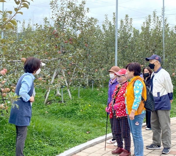 ▲ 12일 수원시 권선구 호매실동 과수공원에서 어르신과 장기요양종사자가 김희숙 농업 분야 강사의 설명에 따라 과실수를 구경하고 있다.