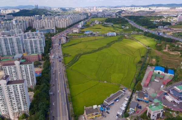 오산 운암뜰 전경./사진제공=오산시