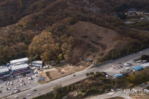 14일 오후 이천시 관고동 107번지 설봉산 일대에 벌목공사가 진행되고 있다. /김근수 기자