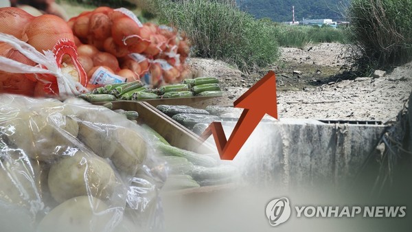 안그래도 뛰는 물가에 가뭄까지…농산물 가격 '들썩'(CG) /사진 = 연합뉴스