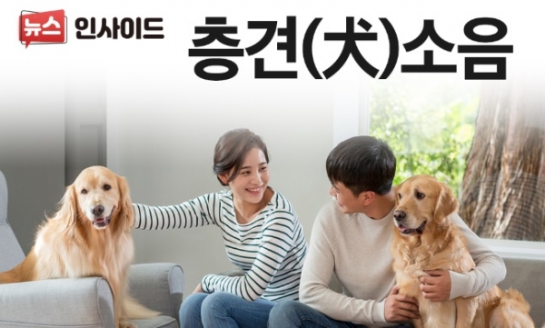 위 사진는 해당기사와 직접 관련이 없습니다. /사진=이미지투데이