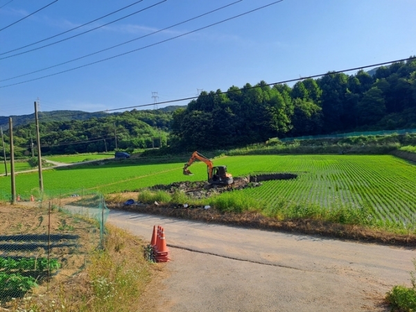 지난 16일 땅꺼짐 현상이 발생한 용인시 처인구 목신리의 논. (사진=제보자 제공)